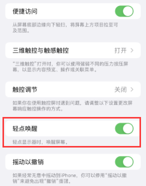 邵阳苹果授权维修站分享iPhone轻点无法唤醒怎么办