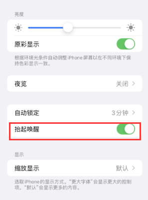 邵阳苹果授权维修站分享iPhone轻点无法唤醒怎么办