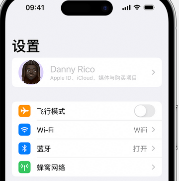 邵阳appleID维修服务iPhone设置中Apple ID显示为灰色无法使用