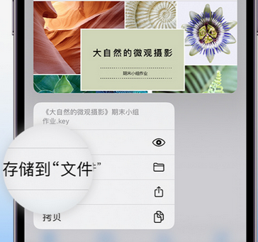 邵阳apple维修中心分享iPhone文件应用中存储和找到下载文件