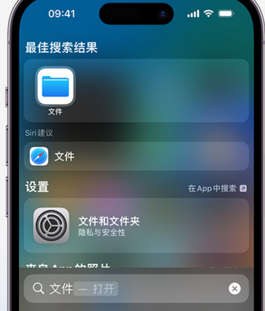 邵阳apple维修中心分享iPhone文件应用中存储和找到下载文件