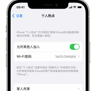 邵阳apple服务站点分享iPhone上个人热点丢失了怎么办 