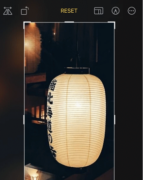 邵阳苹果手机维修店分享iOS17中一键式裁剪功能使用方法