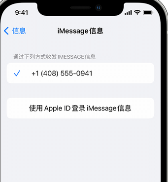 邵阳apple维修iPhone上无法正常发送iMessage信息 