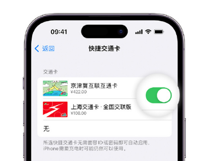 邵阳apple维修点分享iPhone上更换Apple Pay快捷交通卡手绘卡面 