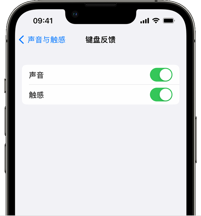 邵阳苹果14维修店分享如何在 iPhone 14 机型中使用触感键盘 