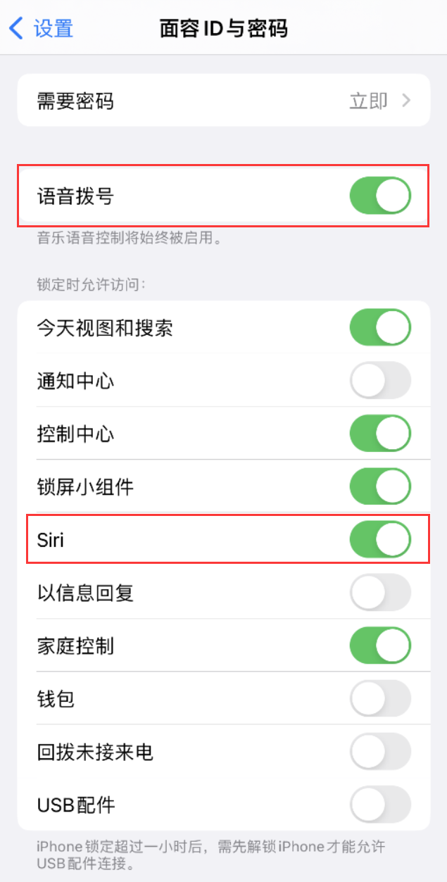 邵阳苹果维修网点分享不解锁 iPhone 的情况下通过 Siri 拨打电话的方法 