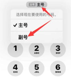 邵阳苹果14维修店分享iPhone 14 Pro Max使用副卡打电话的方法 