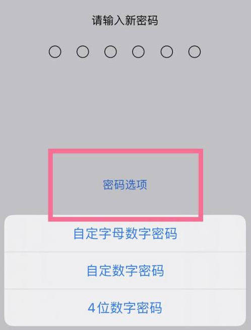 邵阳苹果14维修分享iPhone 14plus设置密码的方法 