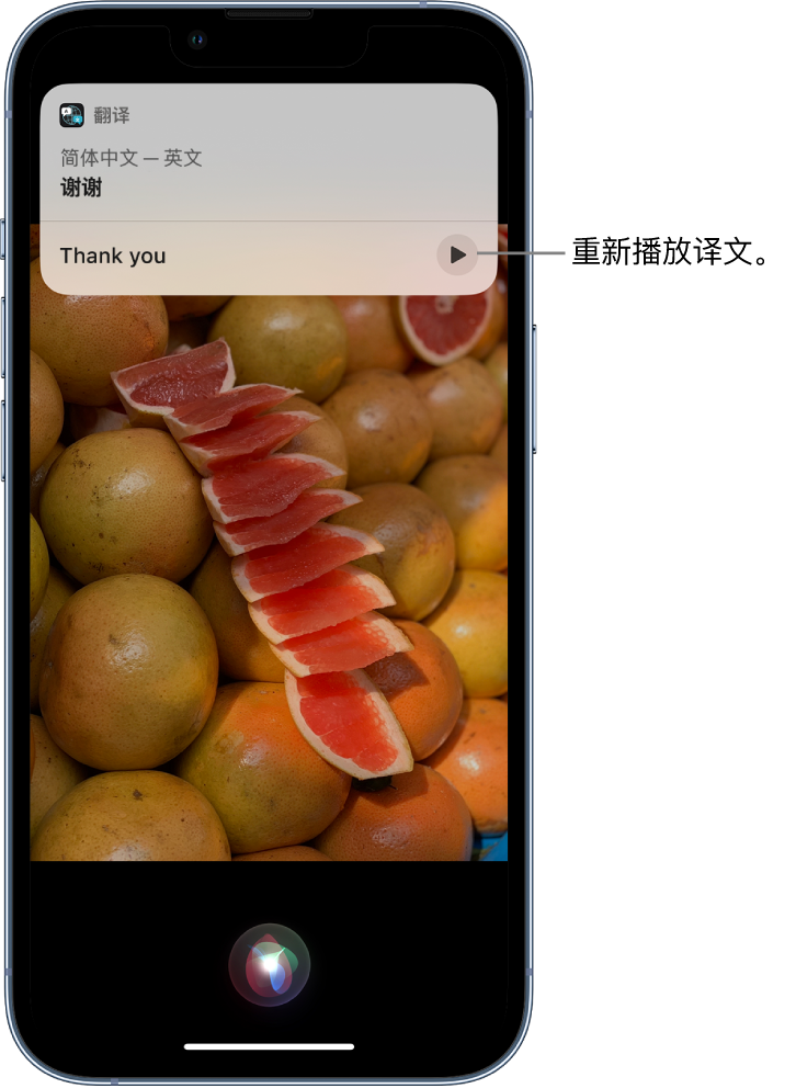 邵阳苹果14维修分享 iPhone 14 机型中使用 Siri：了解 Siri 能帮你做什么 