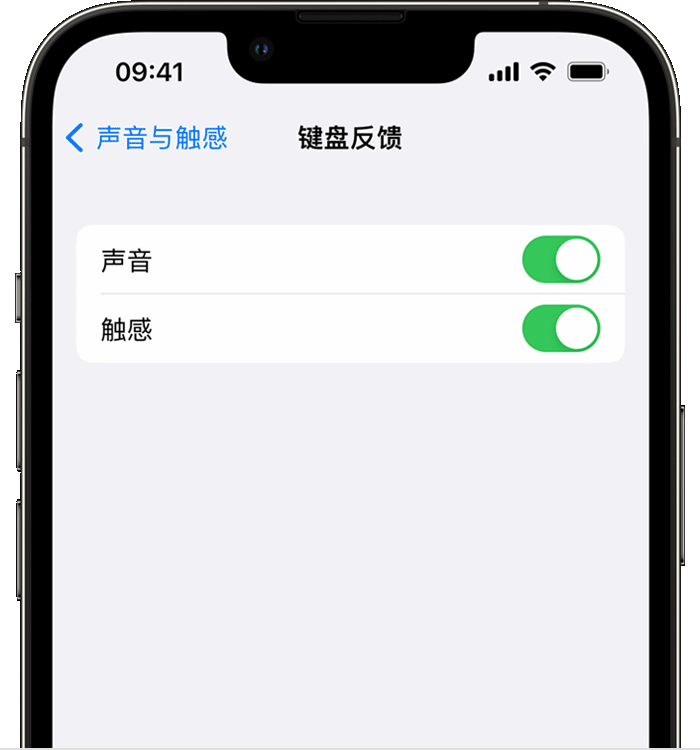 邵阳苹果14维修分享iPhone 14 系列机型如何开启键盘声音或触感反馈 