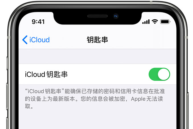 邵阳苹果手机维修分享在 iPhone 上开启 iCloud 钥匙串之后会储存哪些信息 