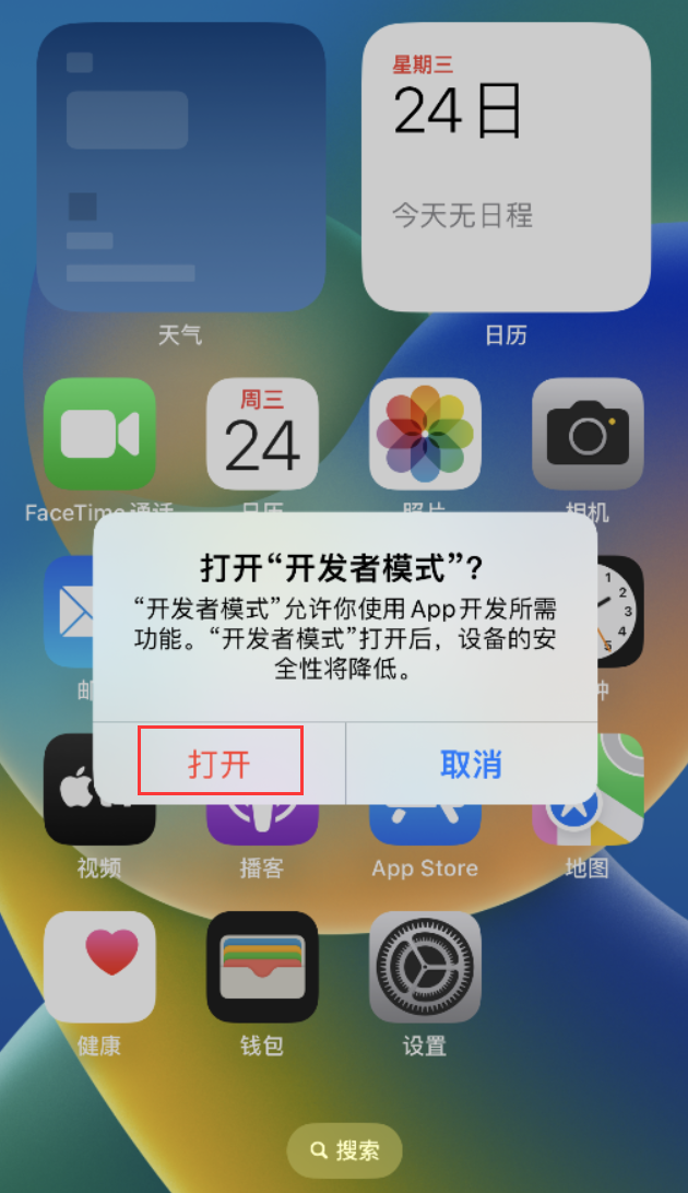 邵阳苹果手机维修分享如何打开开发者模式 