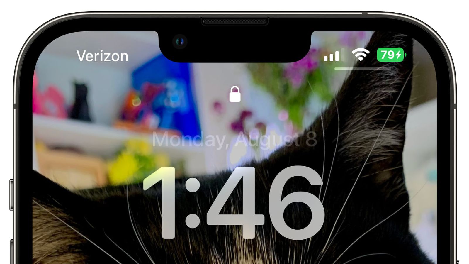 邵阳苹果手机维修分享iOS 16 beta 5 支持状态栏显示电池百分比，如何开启？支持哪些机型 