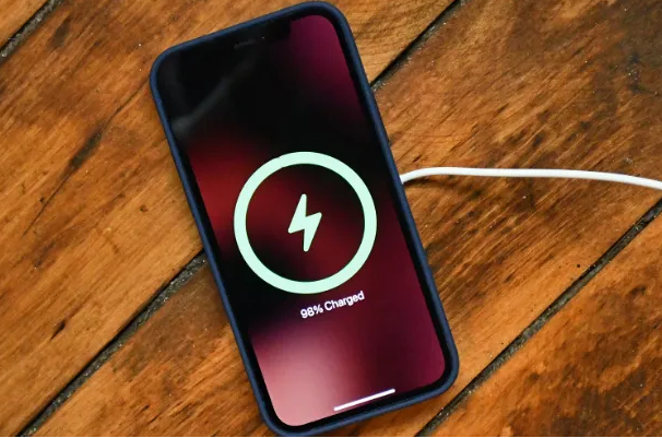 邵阳苹果手机维修分享iPhone如何正确充电 