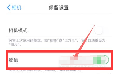 邵阳苹果13维修分享iPhone13拍照有绿点是怎么回事 