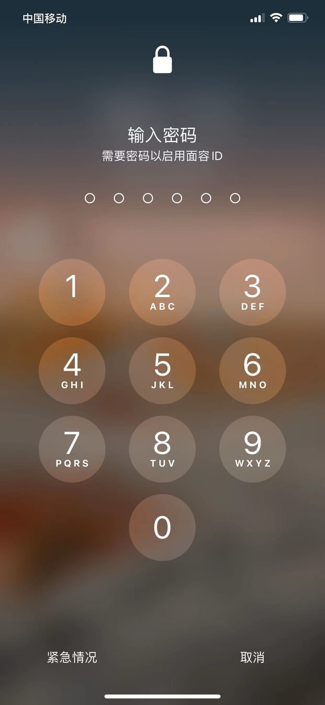 邵阳苹果13维修分享iPhone 13加强锁屏功能有什么用 