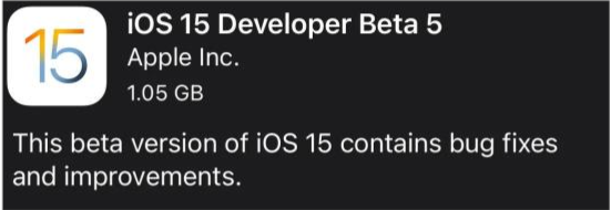 邵阳苹果手机维修分享如何升级到iOS15.0 beta5 