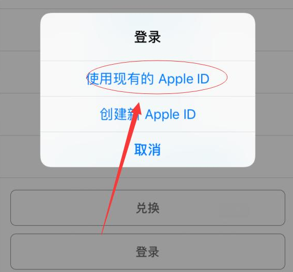 邵阳苹果手机维修分享两台iPhone设备可以同时登录一个Apple ID吗 