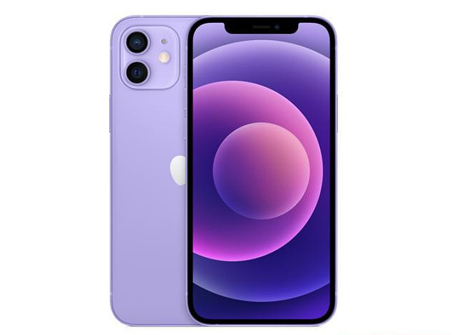 邵阳苹果手机维修分享现阶段要不要入手紫色版iPhone12 