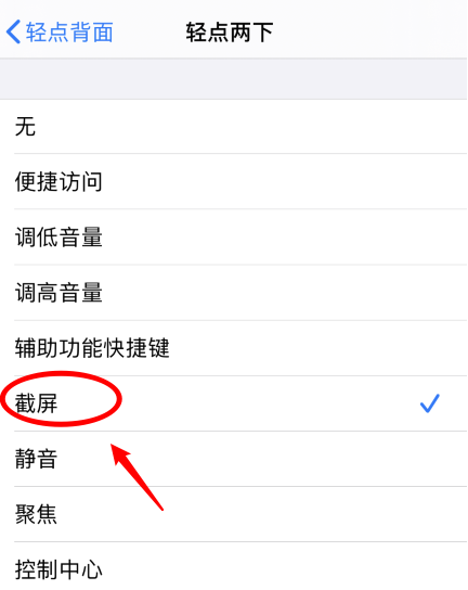 邵阳苹果手机维修分享iPhone12如何启用双击截屏 