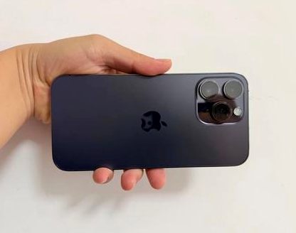 邵阳苹果维修点分享iPhone 14 Pro Max发烫多重诱因剖析 